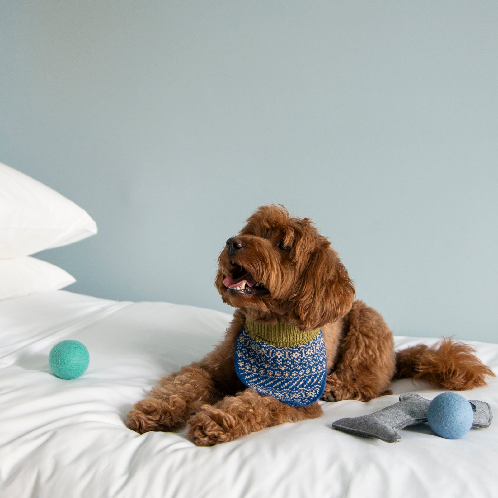 Nooee pet Wool Toy Ball (4CM)