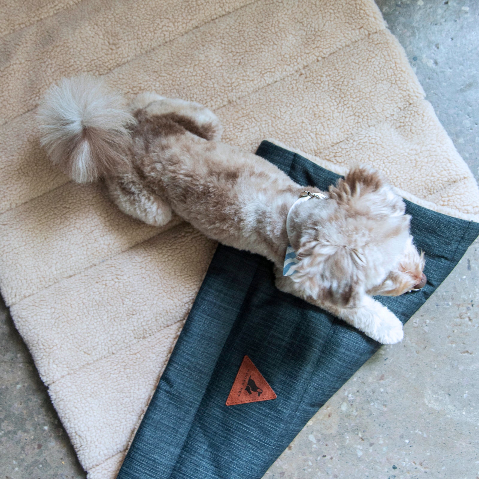Nooee Pet Jackson Travel Mat