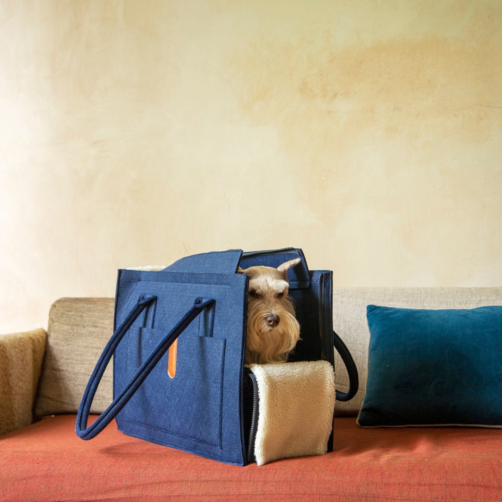 Small dog sitting inside the Nooee Pet Stell Navy Carrier, placed on a couch with a red cover and beige wall, showing the fold-down sherpa flap and structured side pockets.