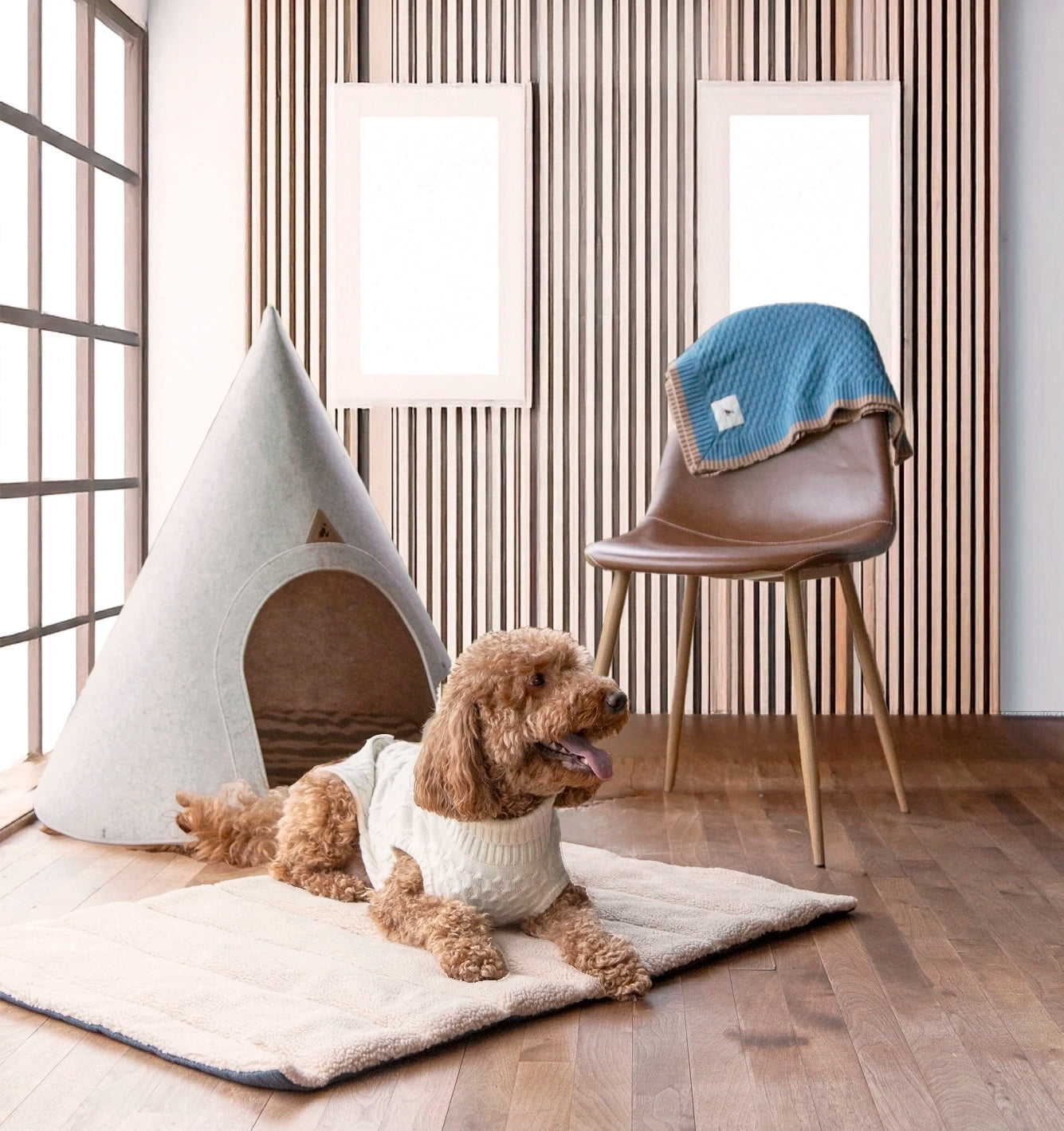 A dog resting inside the Nooee Pet Molly XL Cream Pet Cave, a stylish and cozy conical pet home, placed in a modern living room.