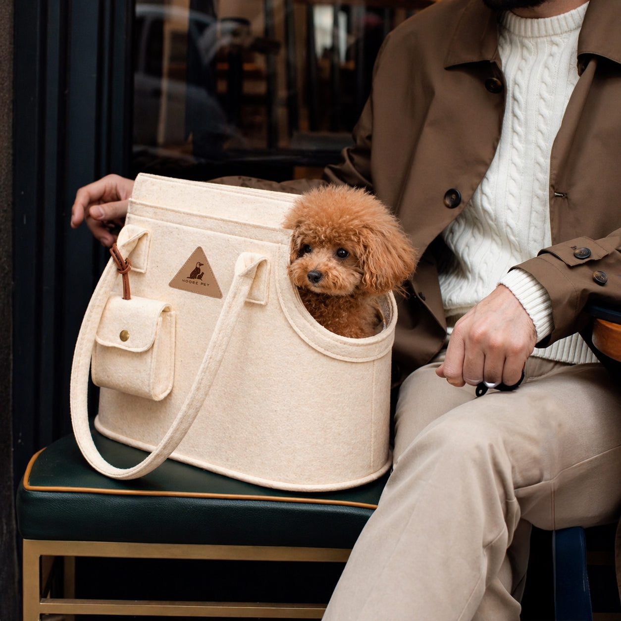 Nooee Pet Ash Felt Dog Carrier