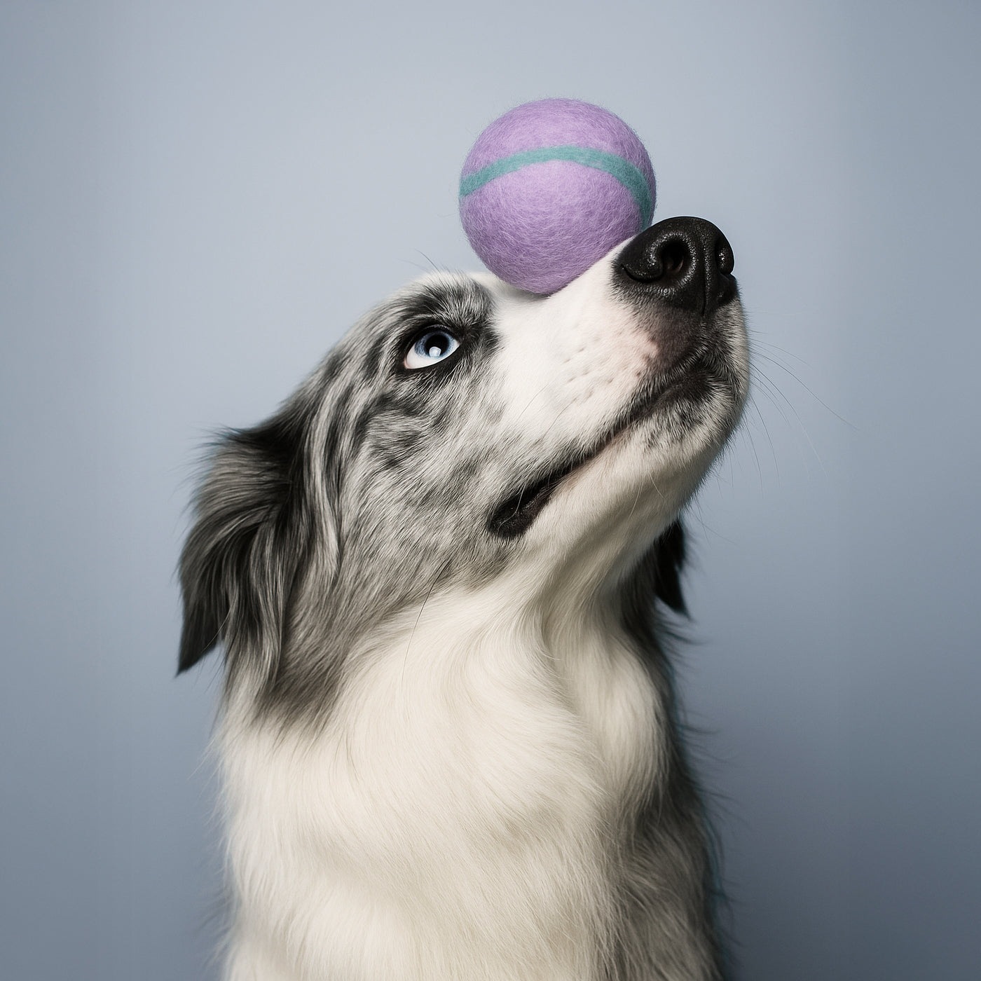Wool Toy Ball (5CM)*