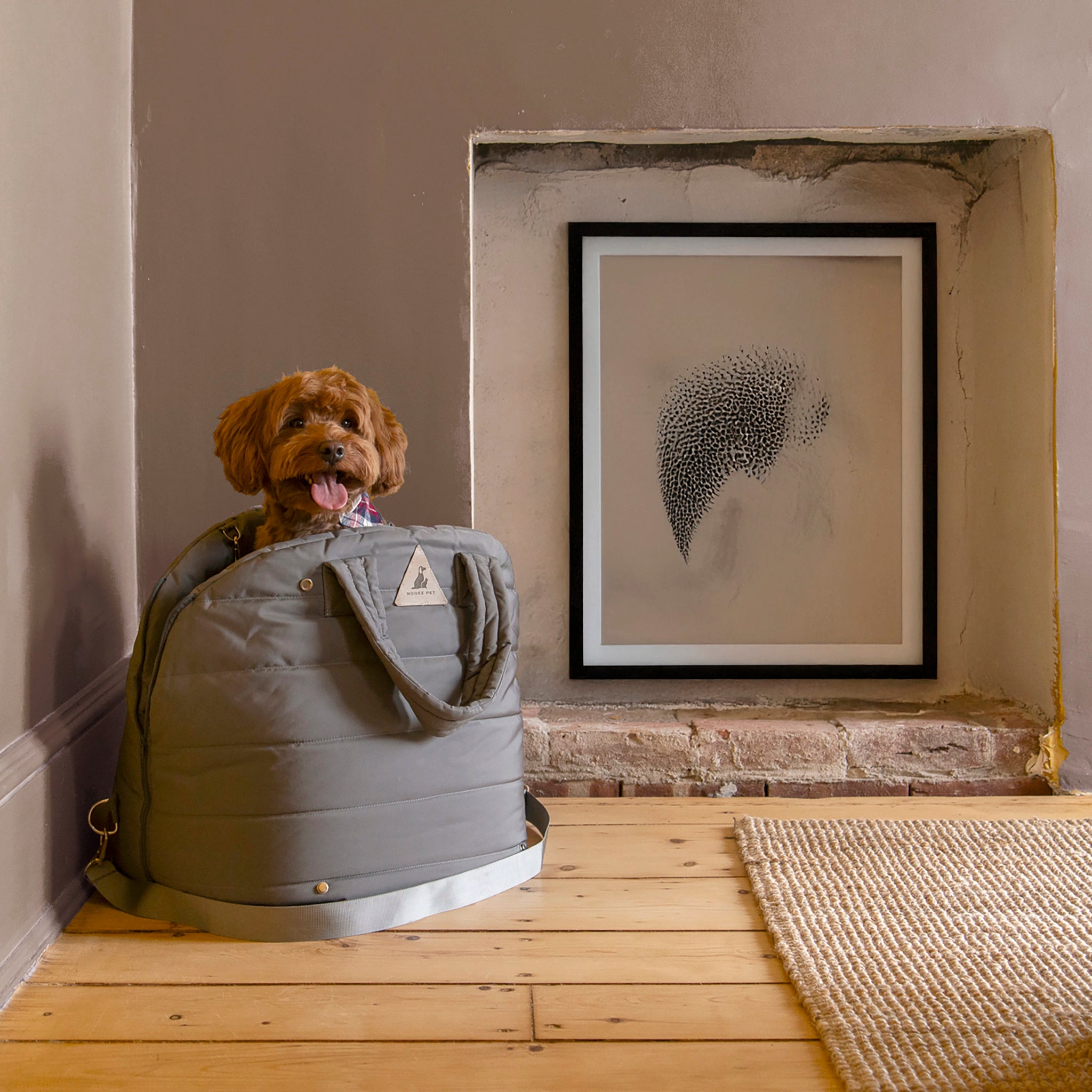 Dog sitting inside a gray-colored Nooee Pet Lola car seat placed in a rustic home corner with light brown walls and wood floors.