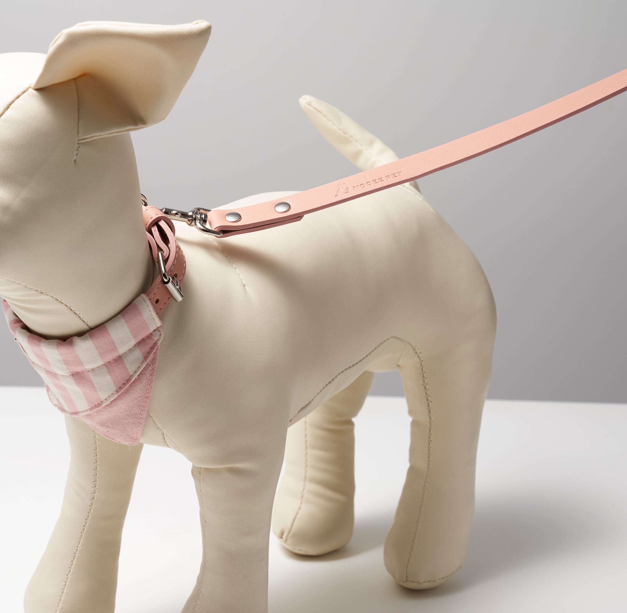 Collar & Leash Daisy