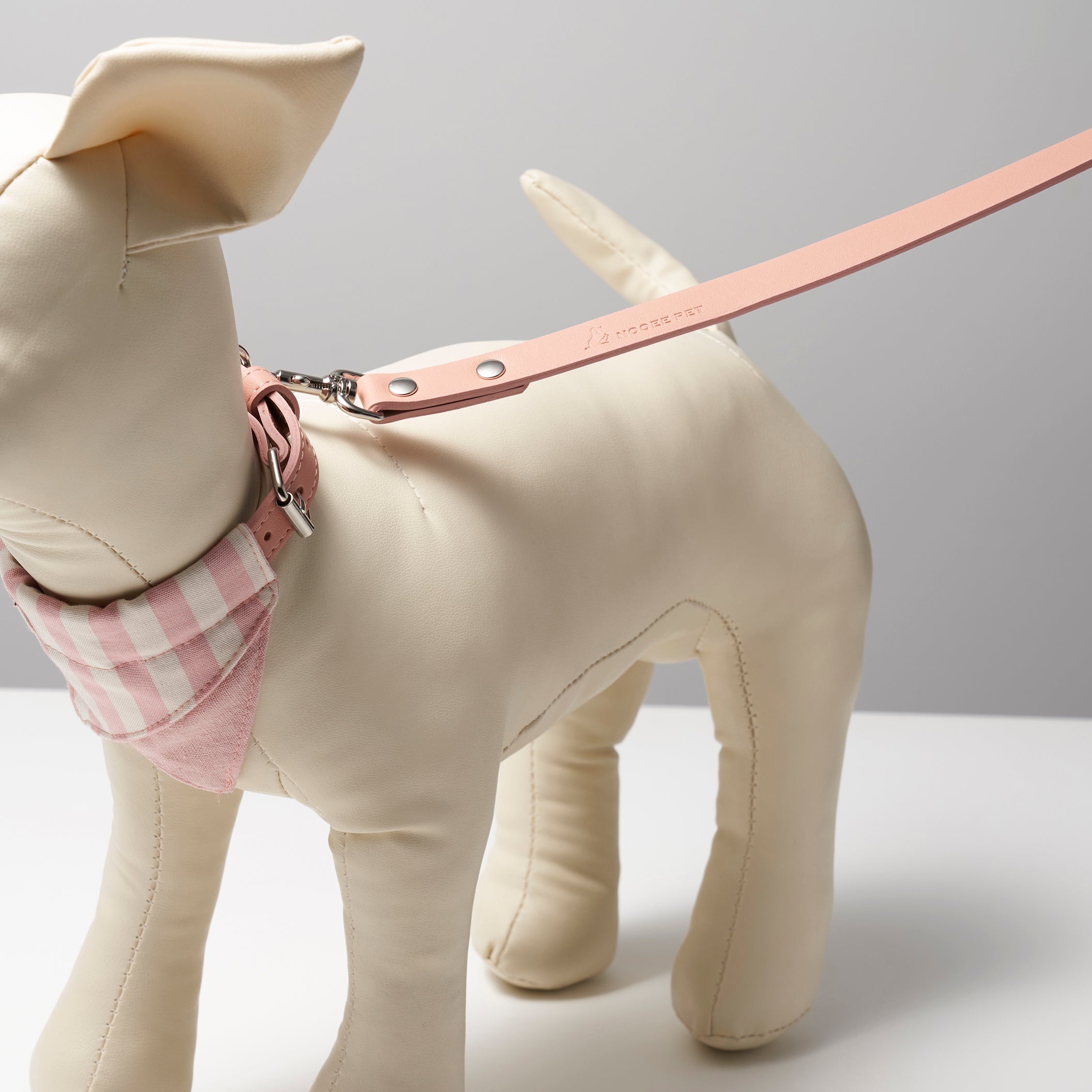 Leash Daisy