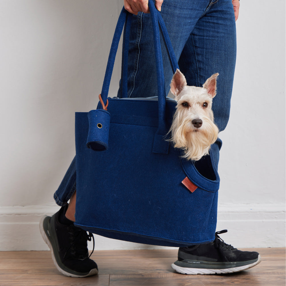 Person walking while carrying a small white dog in the Nooee Pet Ashy Navy Dog Carrier, featuring a front head opening and matching poop bag holder clipped to the handle.