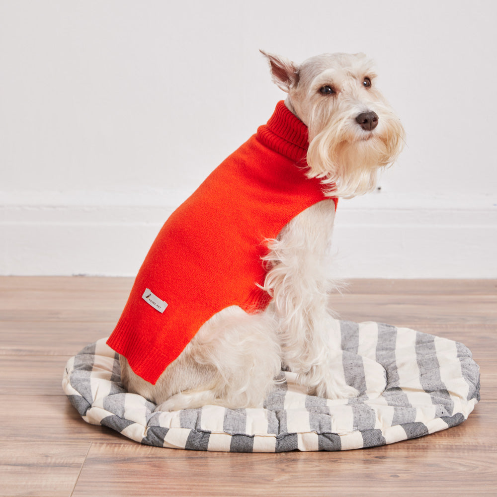 Nooee Pet Cashmere Dog Sweater – Red
