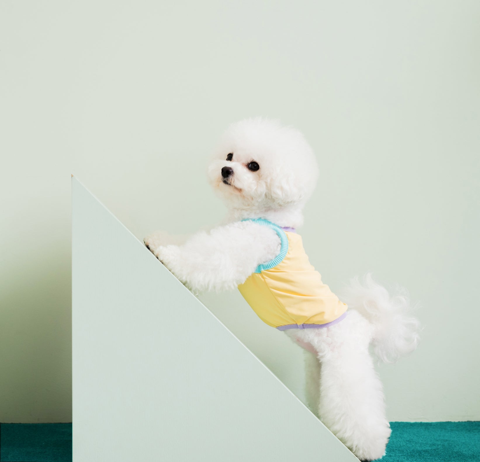 Nooee Pet CoolPaws Summer Shirt Zoey
