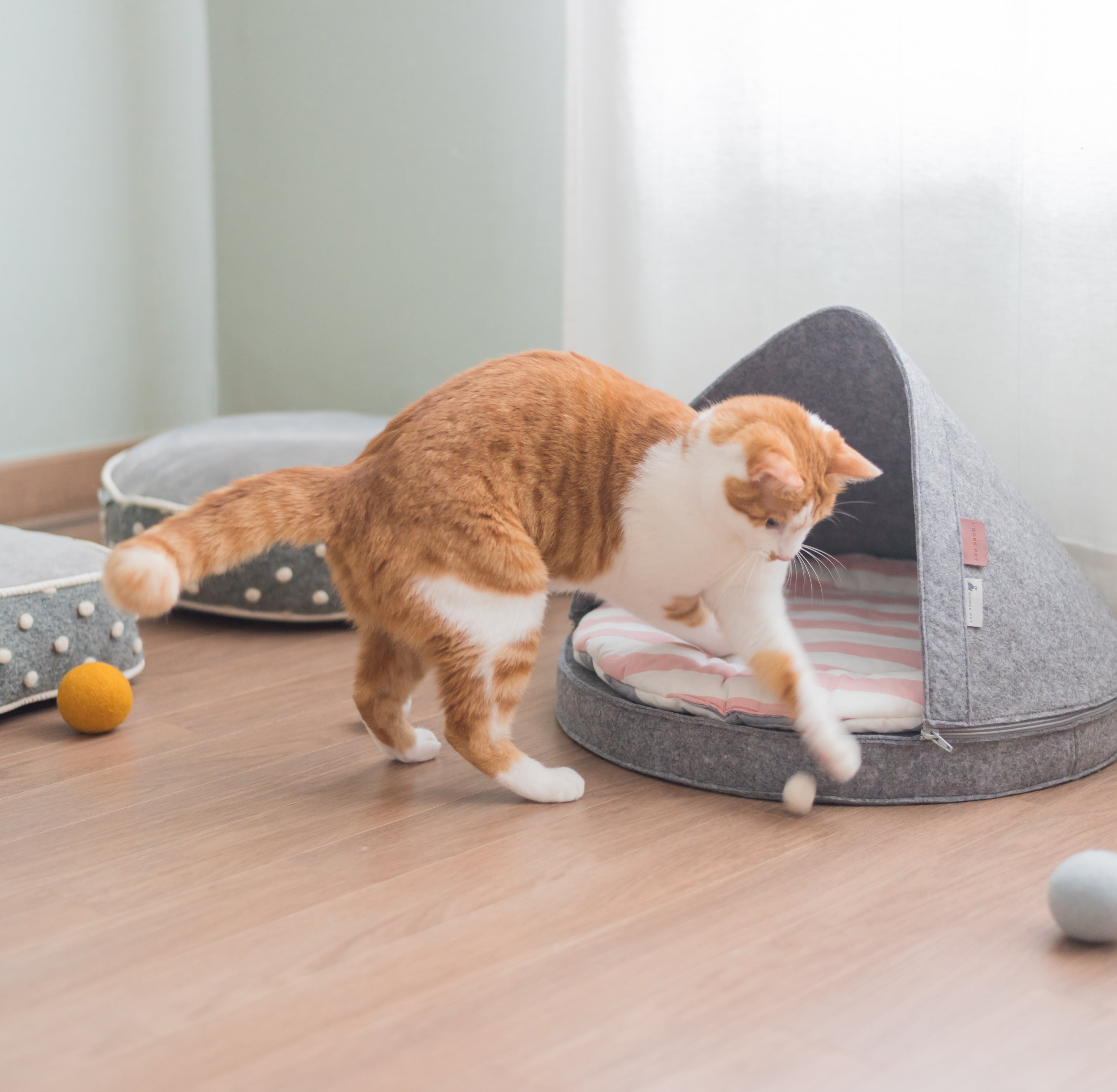 Orange and white cat playing with Nooee Pet wool toy balls next to the Nabi pet cave.
