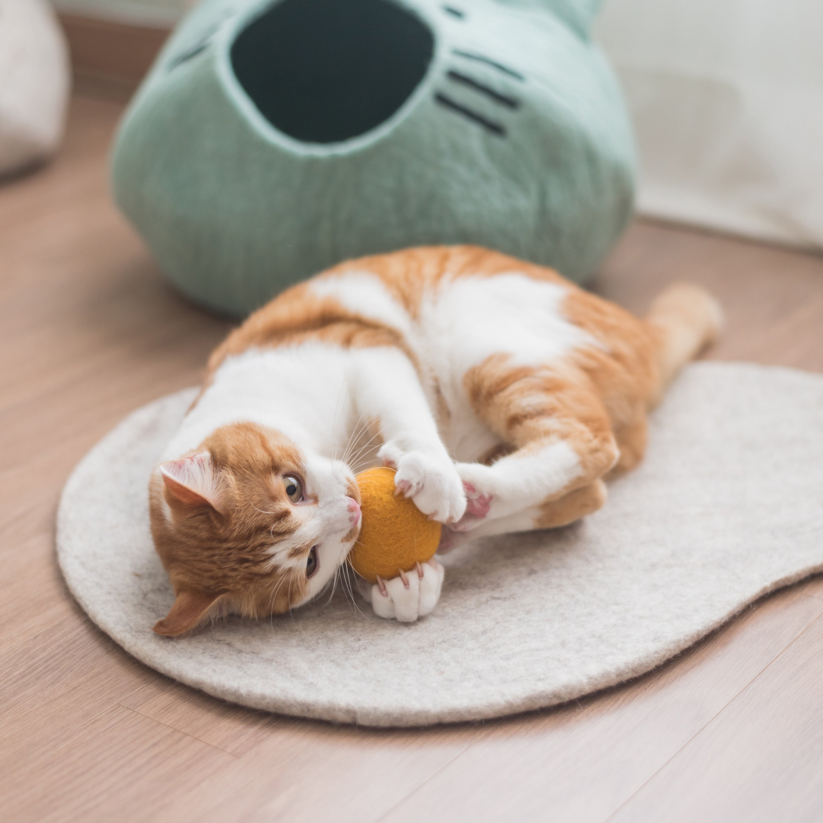 Orange and white cat playing with wool toy balls beside a Nooee Pet Nabi cave.