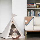 Small dog lounging inside the Teepee Bailey in a modern living room