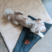 Nooee Pet Jackson reversible dog travel mat with a small dog resting on top