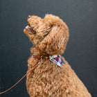 Nooee Pet Dog Leash Daisy