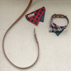 Nooee Pet Dog Leash Daisy