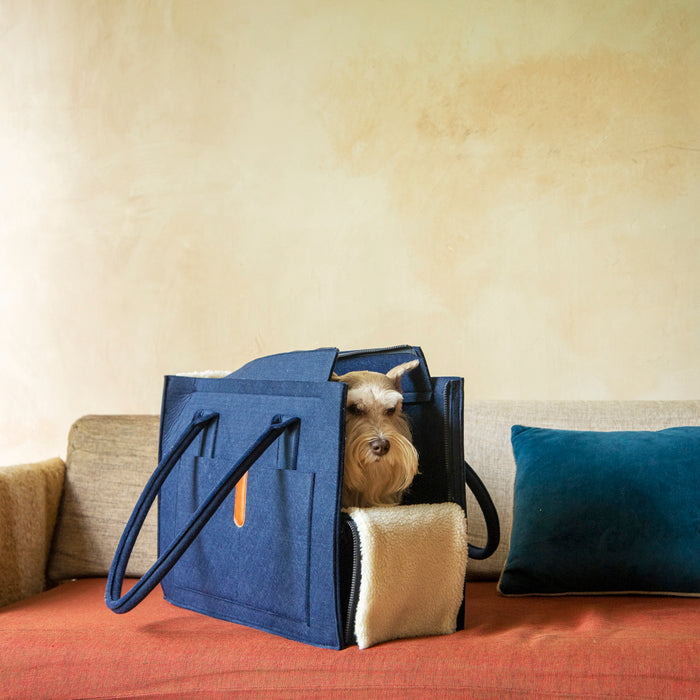 Small dog sitting inside the Nooee Pet Stell Navy Carrier, placed on a couch with a red cover and beige wall, showing the fold-down sherpa flap and structured side pockets.