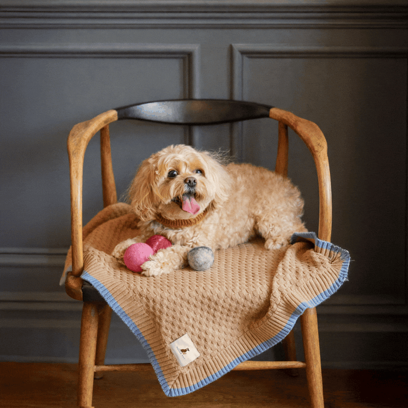 Nooee Pet Wool Toy Ball Set (5 cm)