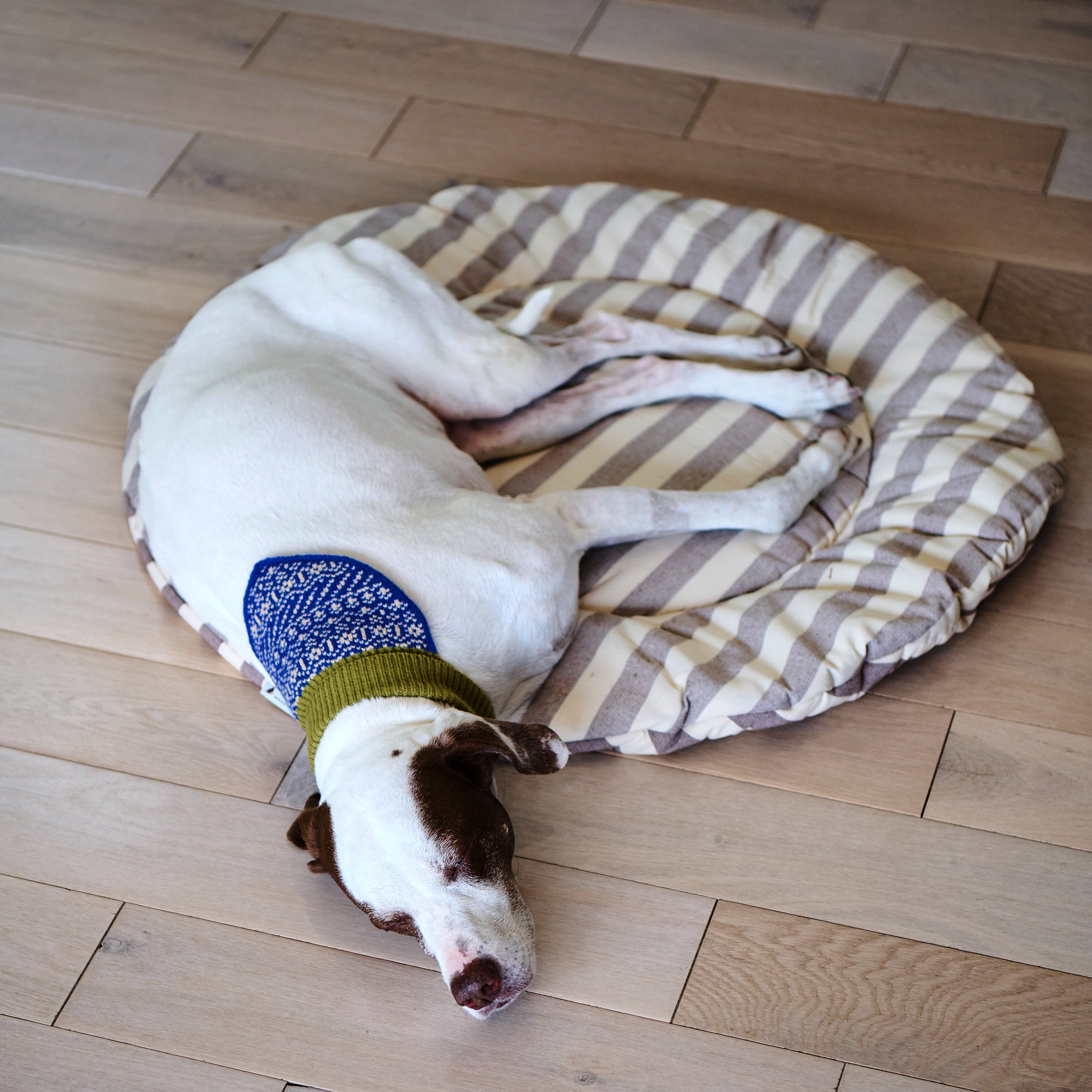Nooee Pet Replacement Cushion