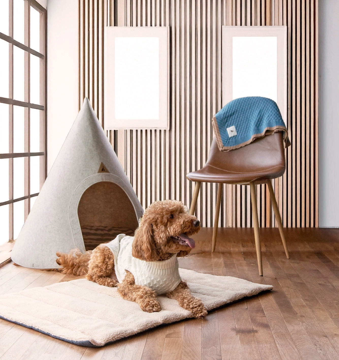 A dog resting inside the Nooee Pet Molly XL Cream Pet Cave, a stylish and cozy conical pet home, placed in a modern living room.
