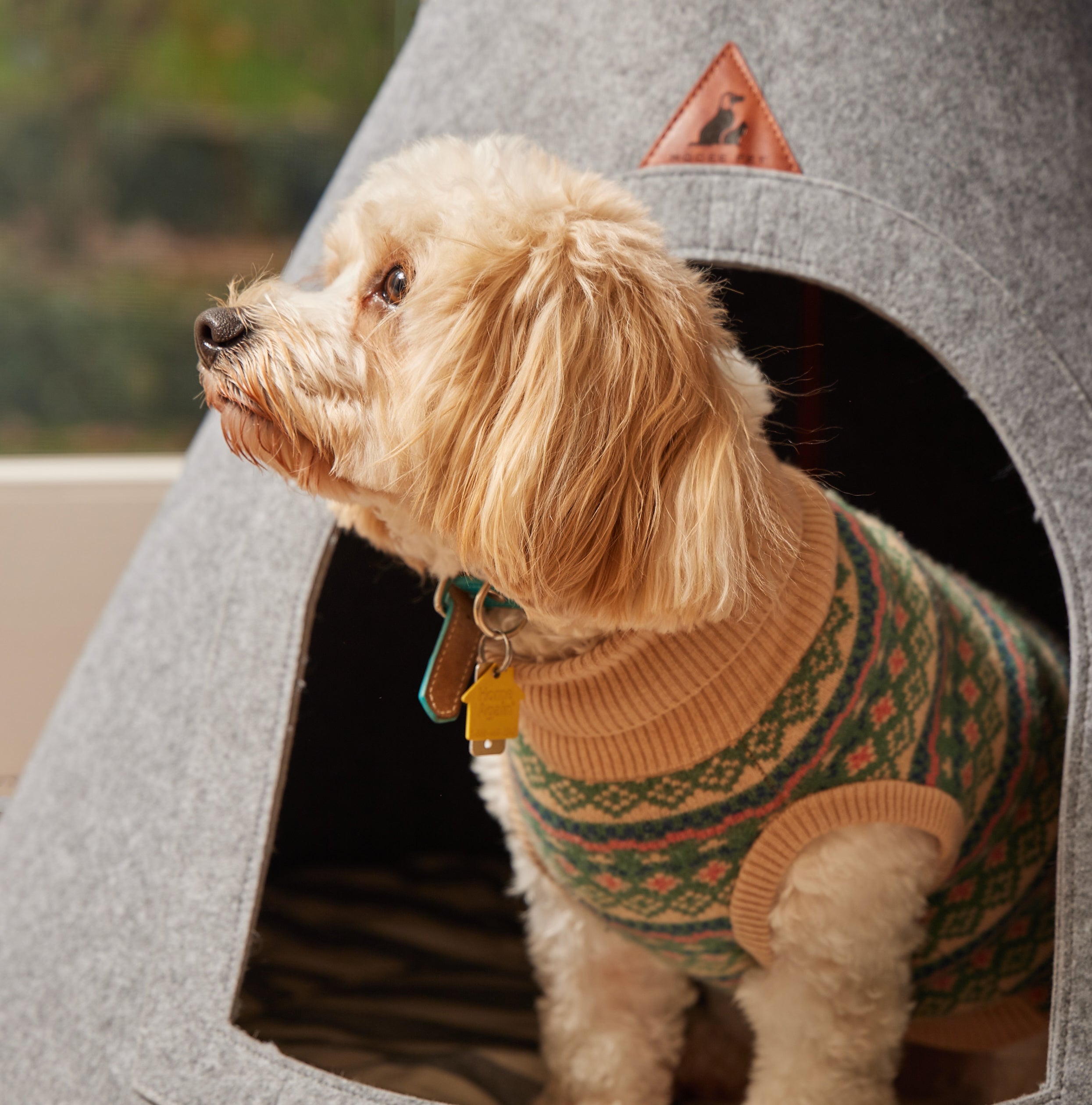 Pet cave store for medium dog