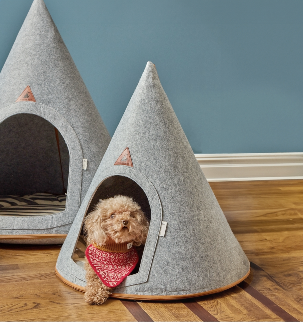 Small dog sitting inside a gray Nooee Pet felt dog cave bed with a second larger cave in the background