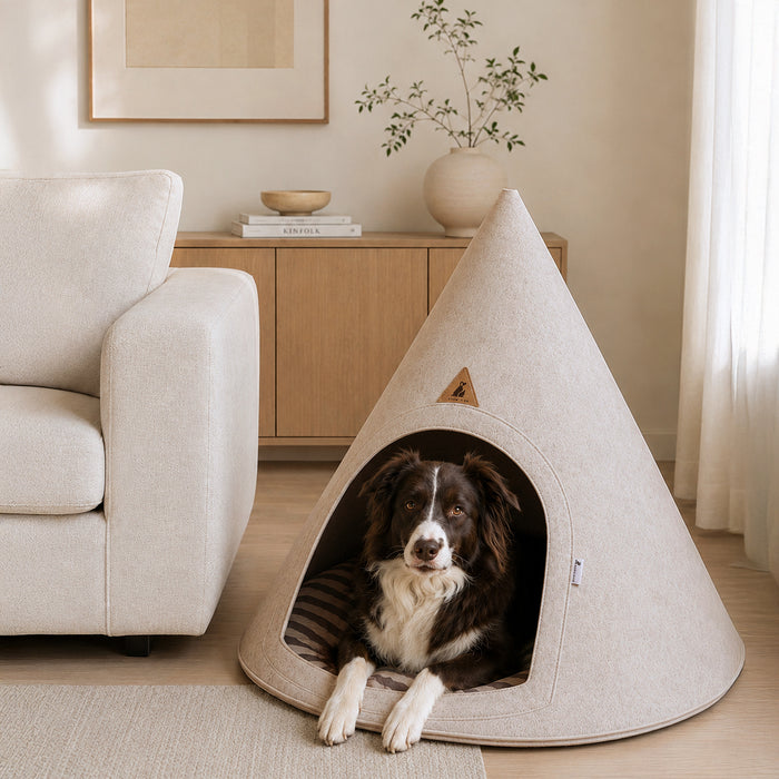 A dog sits inside a Nooee Pet dog cae made of light beige felt, placed in a bright, modern living room next to a cream sofa.