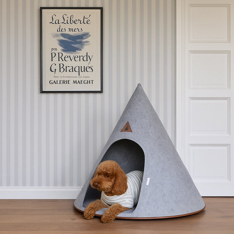 Brown dog wearing a striped shirt resting inside a gray Nooee Pet Cave in a room with striped wallpaper and framed artwork.