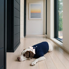 Nooee Pet navy wool polo sweater worn by a dog