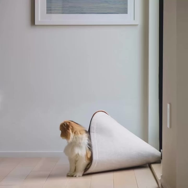 Small dog entering a Nooee Pet felt Nabi cave