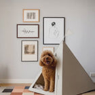 Curious dog exploring the Nooee Pet Tucker Teepee in a modern home