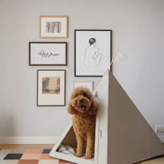 Curious dog exploring the Nooee Pet Tucker Teepee in a modern home
