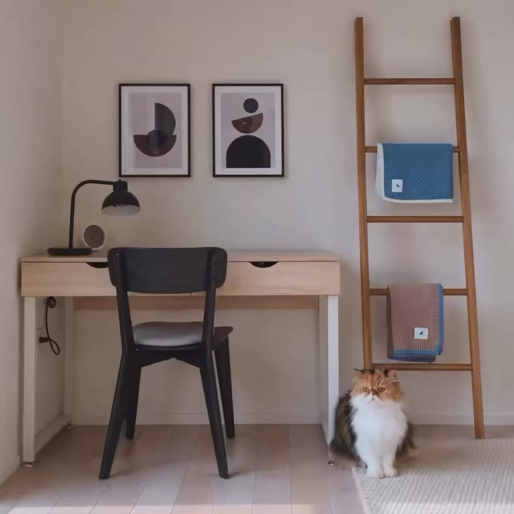 Nooee Pet Cory organic cotton knit blankets displayed on a wooden ladder with a cat nearby