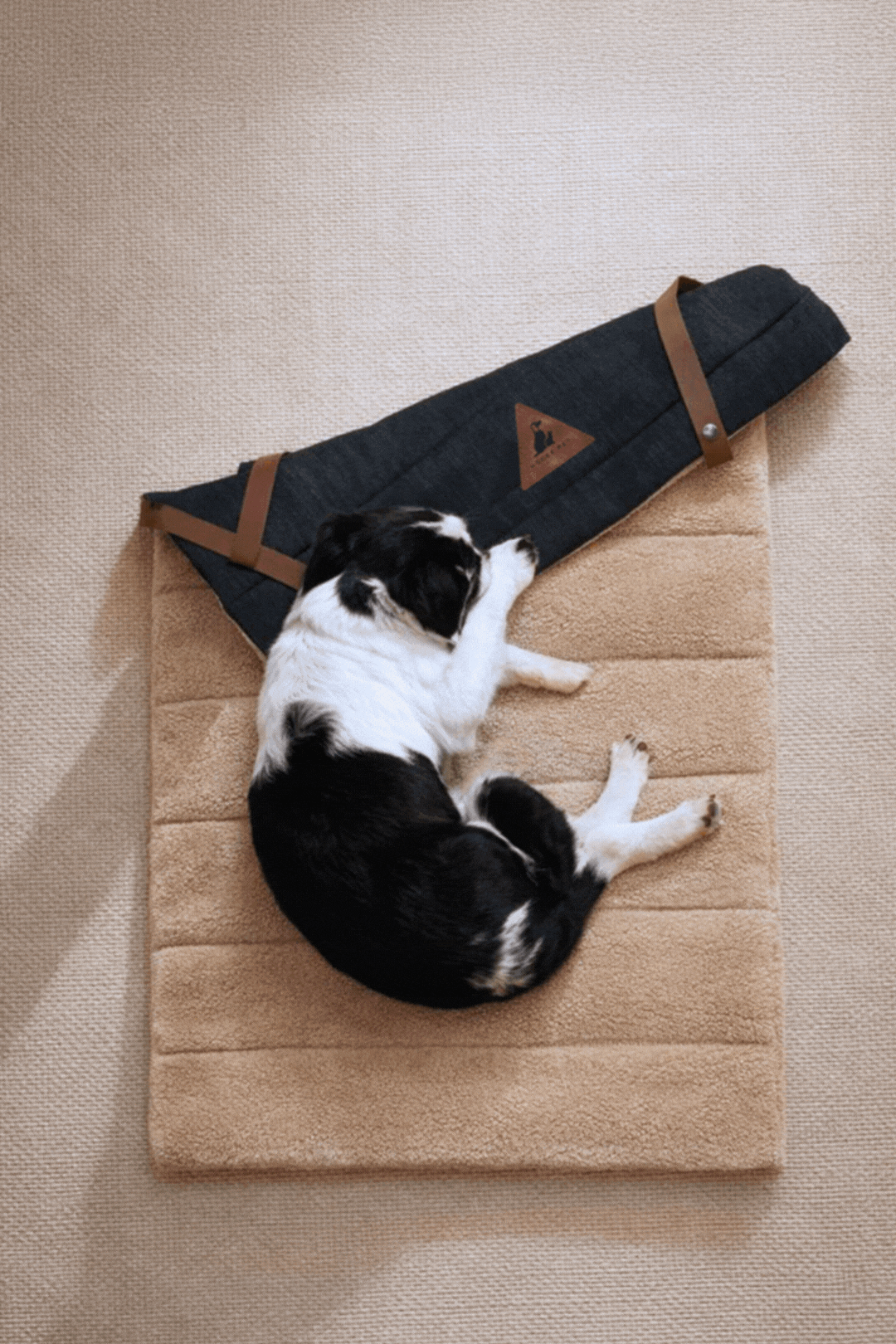 Dog resting on a cushioned travel mat and dog sitting in a quilted pet carrier, styled in a calm, minimalist home setting.