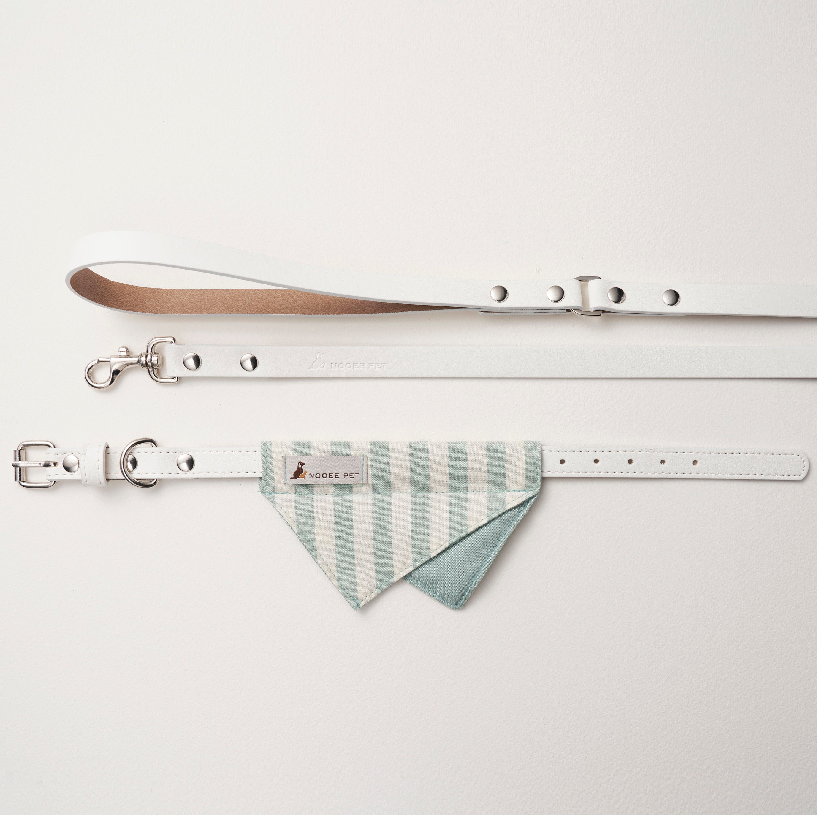 Collar & Leash Daisy