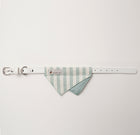  Green Daisy Collar with bandana displayed flat on a white background