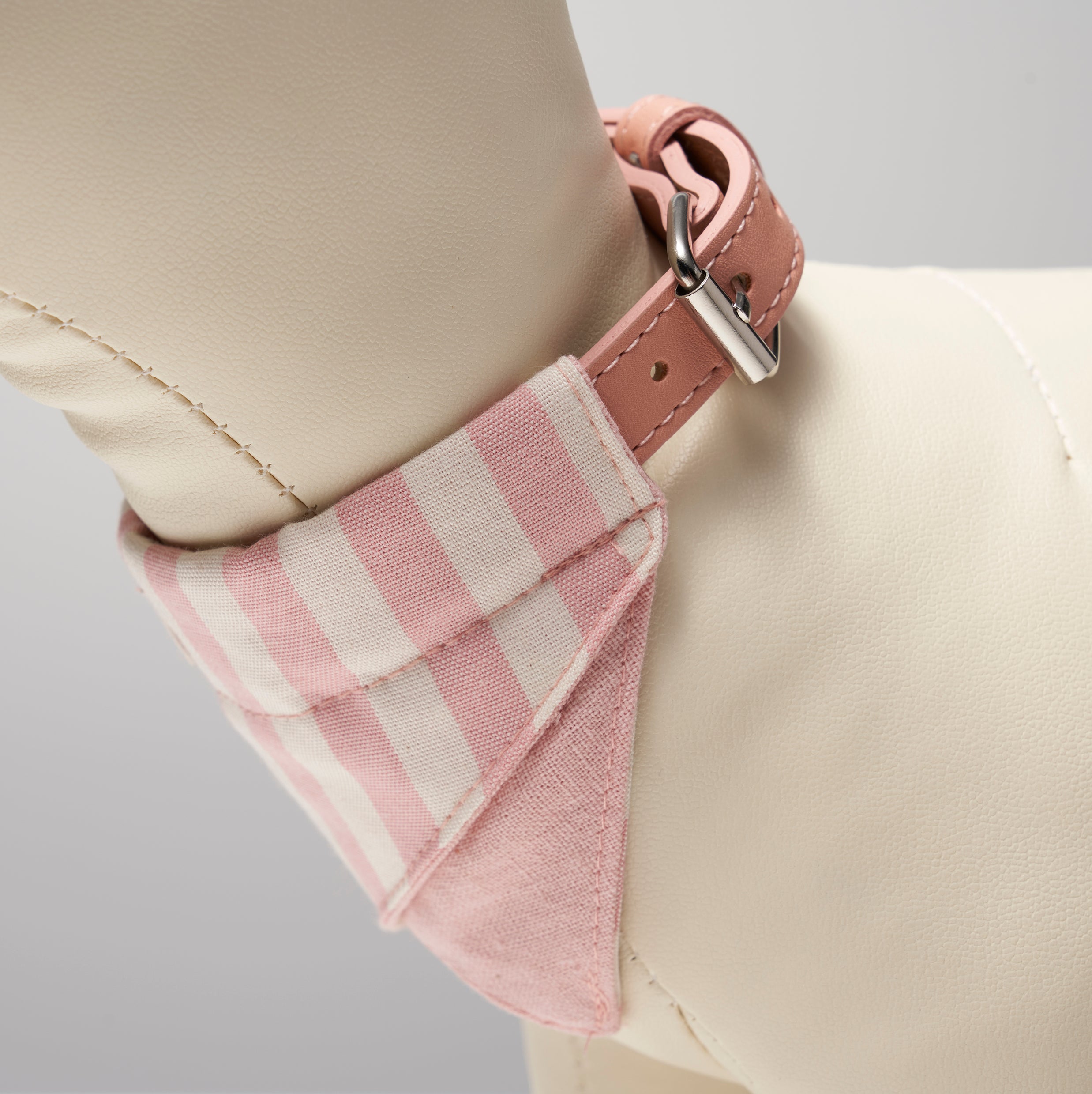 Collar & Leash Daisy