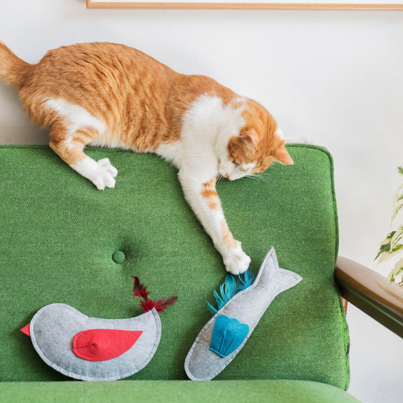 Orange and white cat playing with a gray felt fish toy on a green upholstered chair, with a second gray felt bird toy featuring red wing and feathers nearby.






Orange and white cat playing with a gray felt fish toy on a green upholstered chair, with a second gray felt bird toy featuring red wing and feathers nearby.