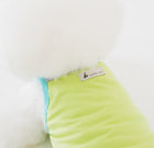 Close-up of a white fluffy dog wearing the Nooee Pet CoolPaws Summer Shirt in light green with aqua blue trim and a visible Nooee Pet logo tag on the back.