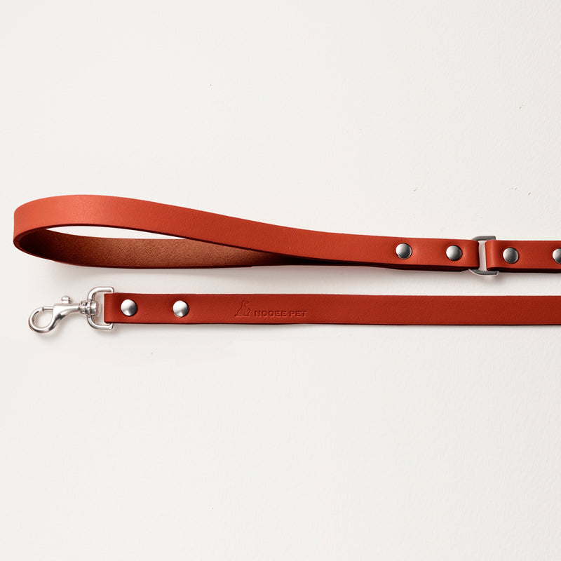 Flat-lay of Nooee Pet Daisy vegan leather leash in light brown